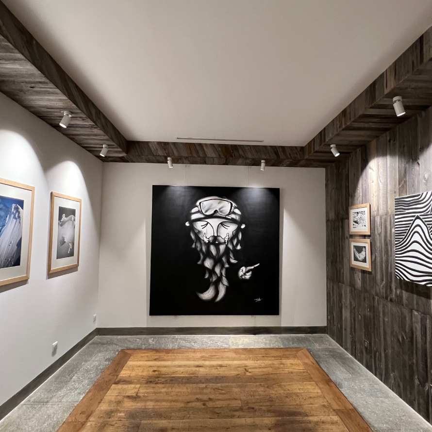 Exposition Barmes, Thomas Gachet