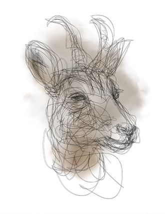 img-flora-et-fauna-michel-paysant-1 img-flora-et-fauna-michel-paysant-1